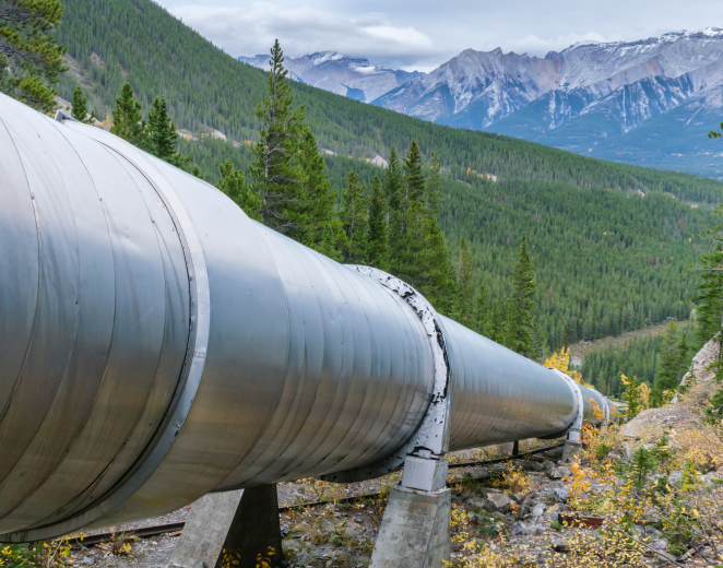 Pipelines and Distribution Demo