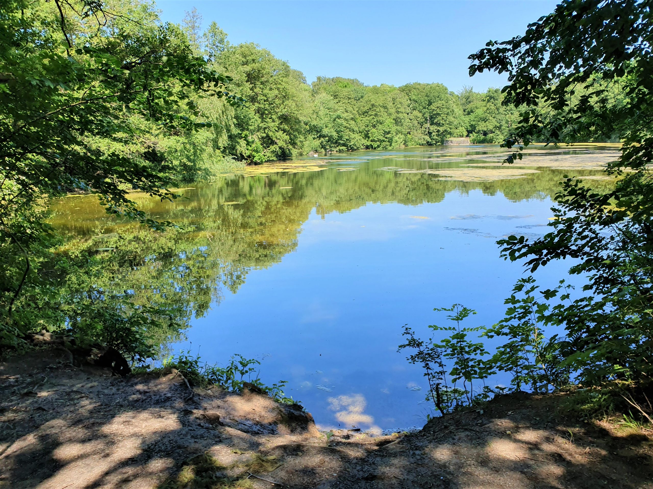 A lake surrounded by woodlands
