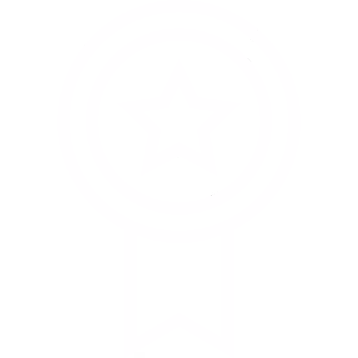Excellence Icon