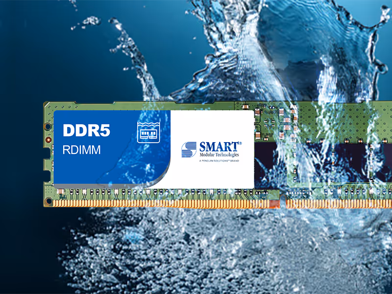 Liquid immersion RDIMM