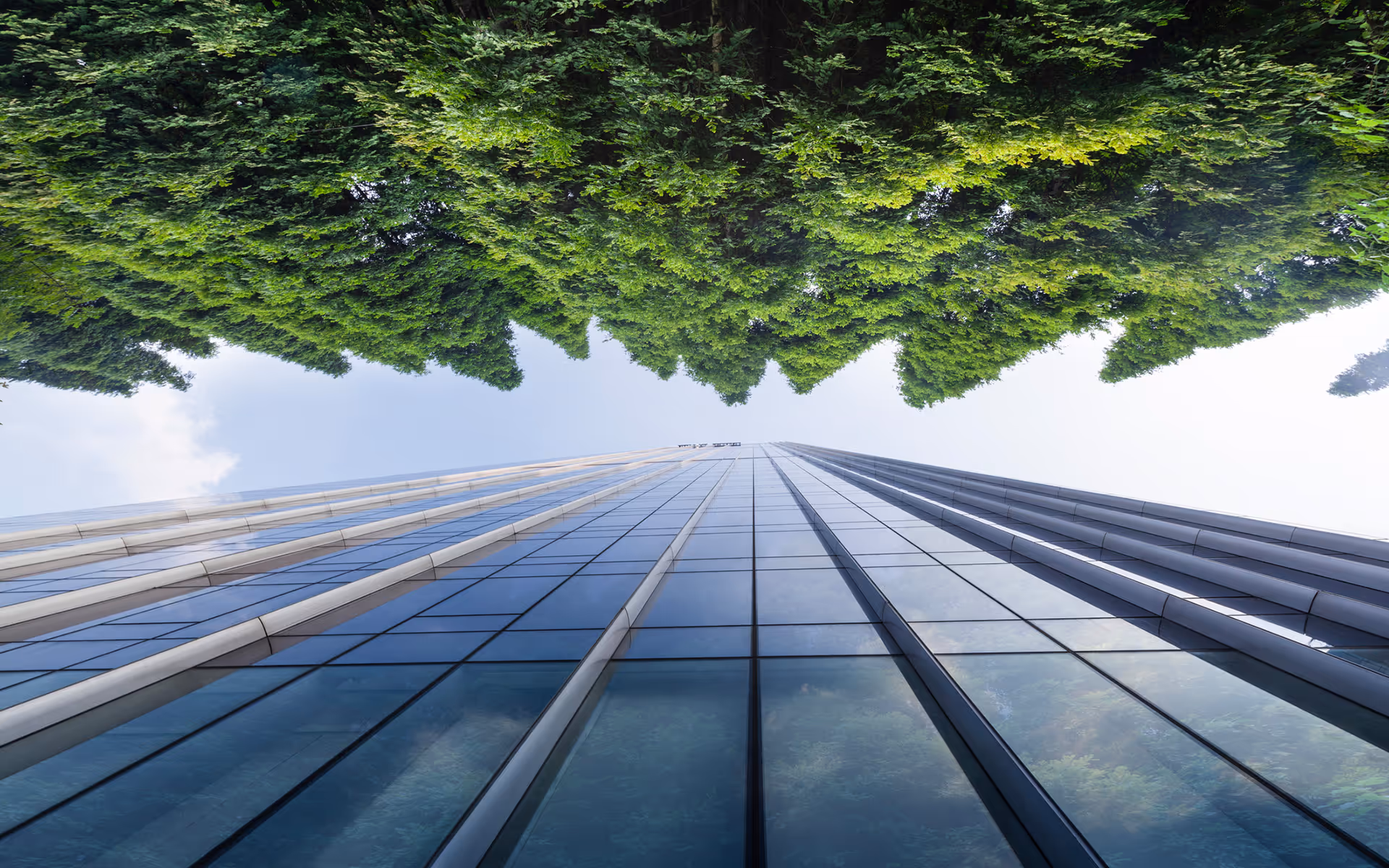 Green trees along building
