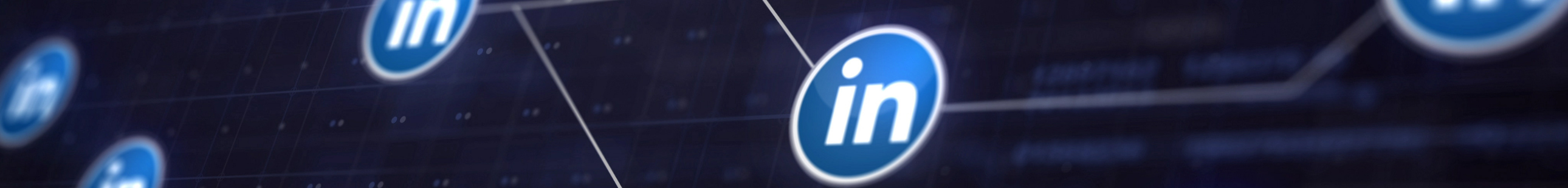 LinkedIn Ads: B2B-Leistung von EcoLeads