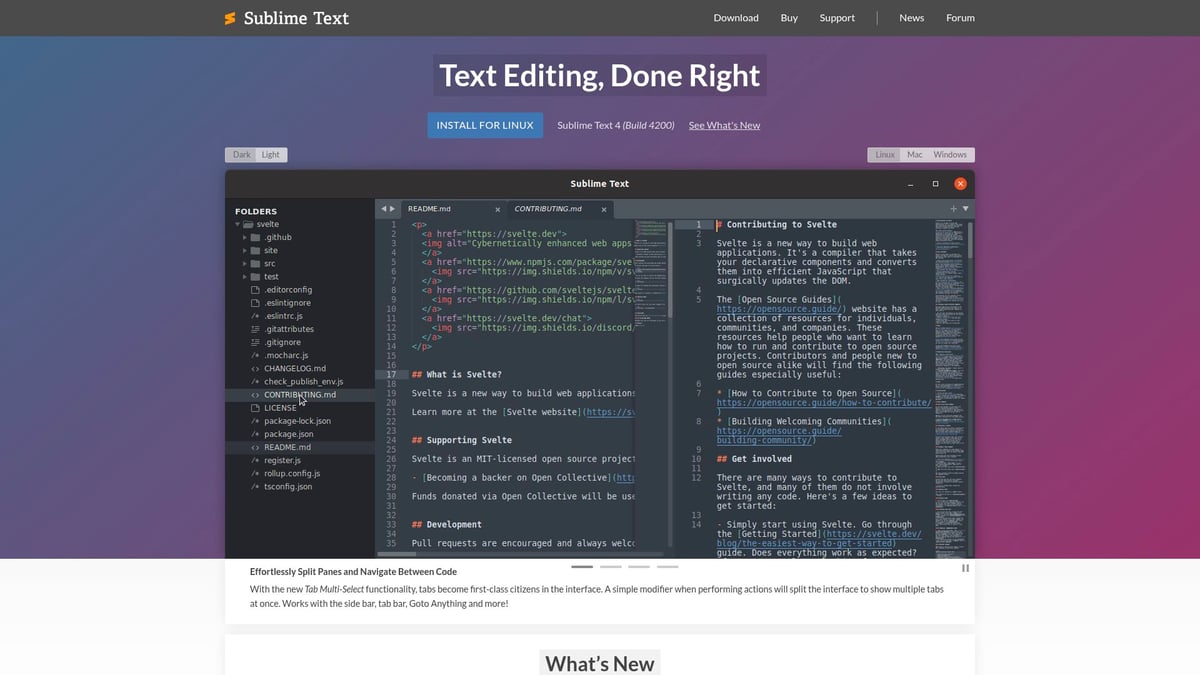 8 Best Software To Develop Your Next Big Project in 2025 - Sublime Text