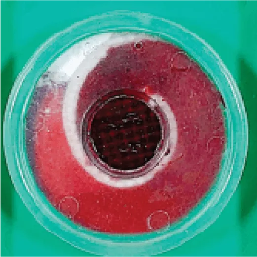 A sample collection device