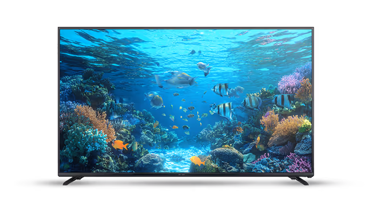 Flat-screen television displaying vibrant underwater coral reef scene with various colorful fish swimming.