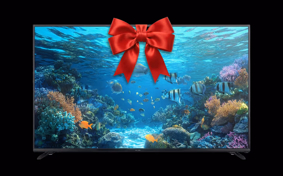 Flat-screen TV displaying an underwater coral reef scene with colorful fish and a red ribbon bow on top.
