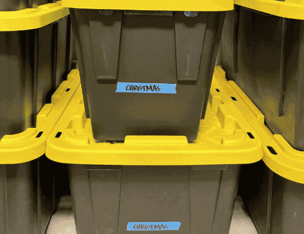 Organized garage with clear storage zones, open bins for everyday items and labeled totes for seasonal storage