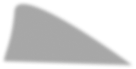 Shadow