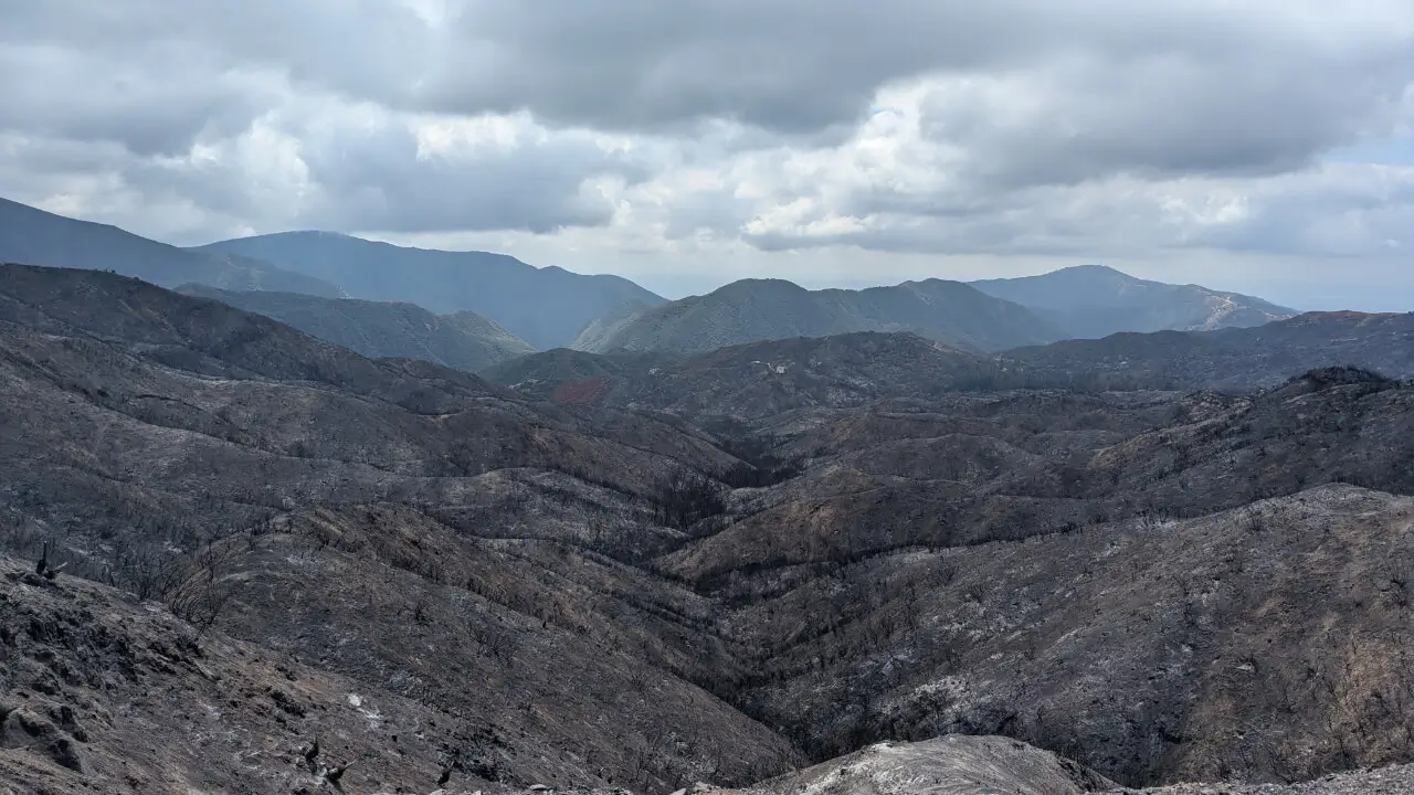 A Personal Perspective: My First Encounter with the Impact of Wildfires