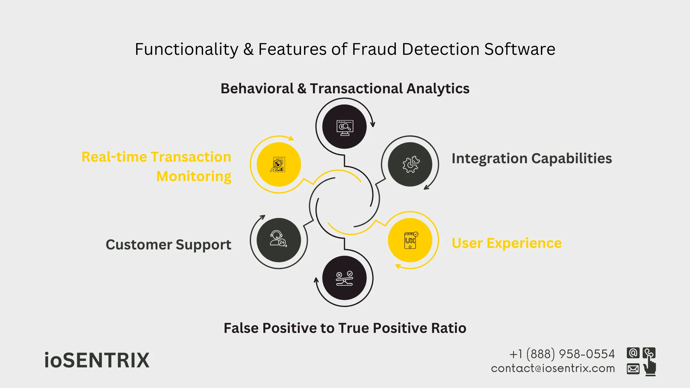 Features of a Fraud Detection Tool