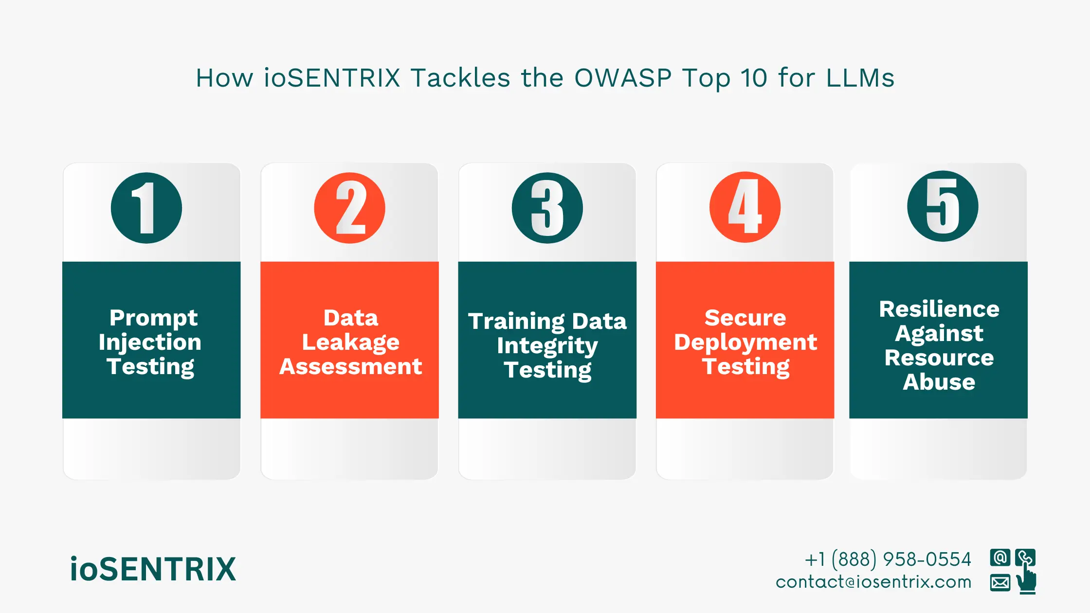 OWASP LLM Security Risks