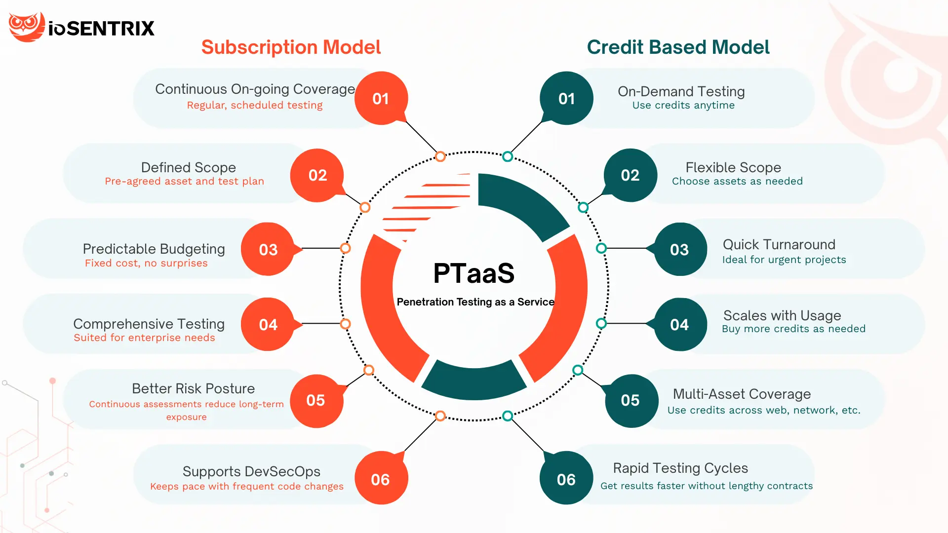 Penetration Testing as a Services