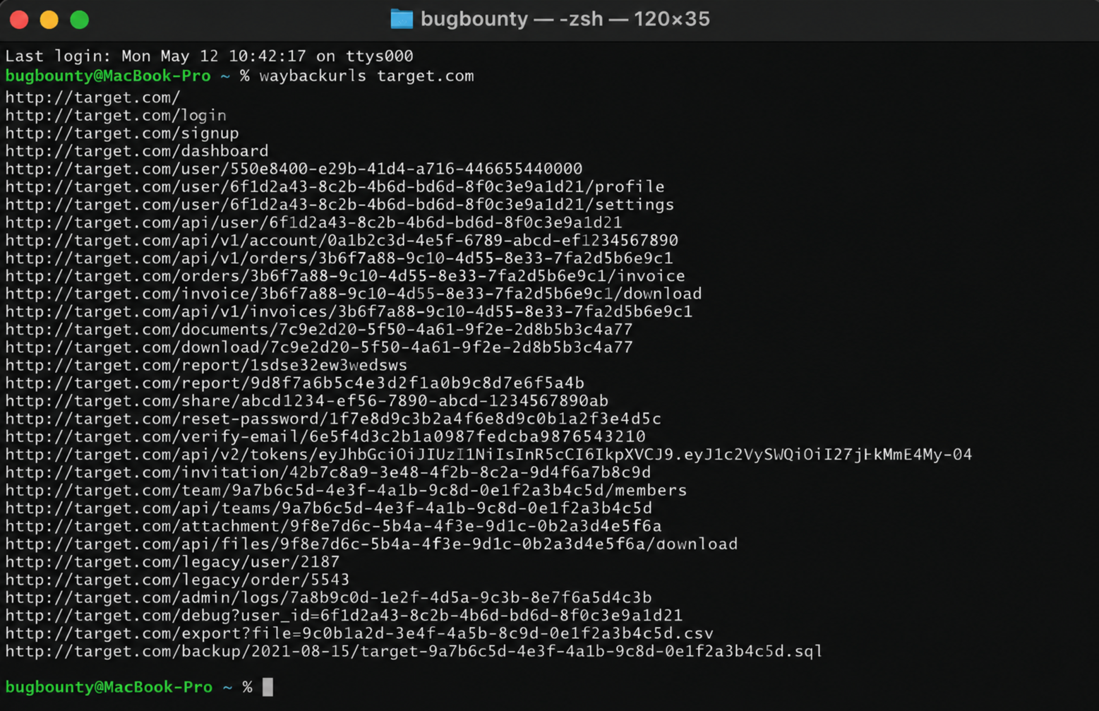 waybackurls output exposing historical URLs that still contain valid resource identifiers (illustrative, mocked data).