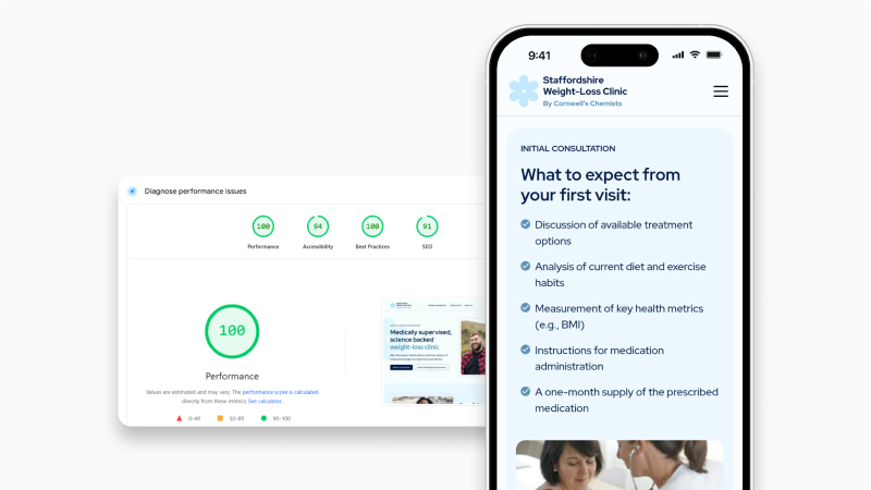 PageSpeed Insights scores for Deltera website
