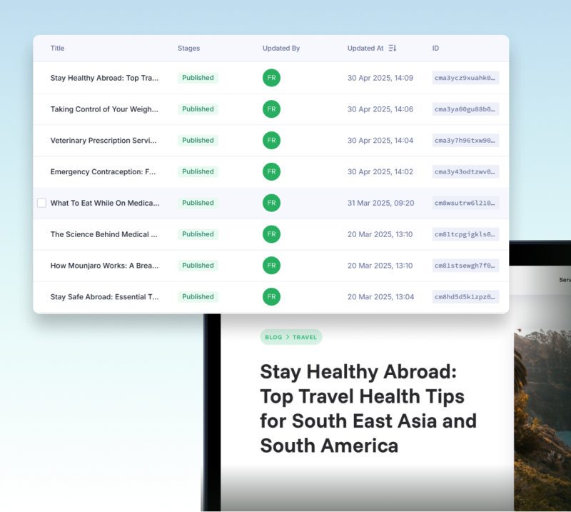 CMS showing SEO blog posts for a  website