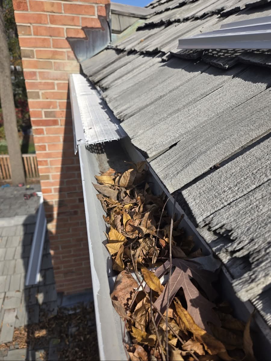 White gutter without protection filled with dirt, moss, and plants.