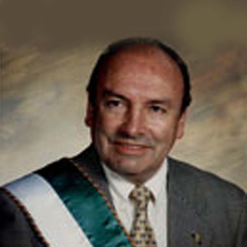 Vladimir Mendizabal Aguayo