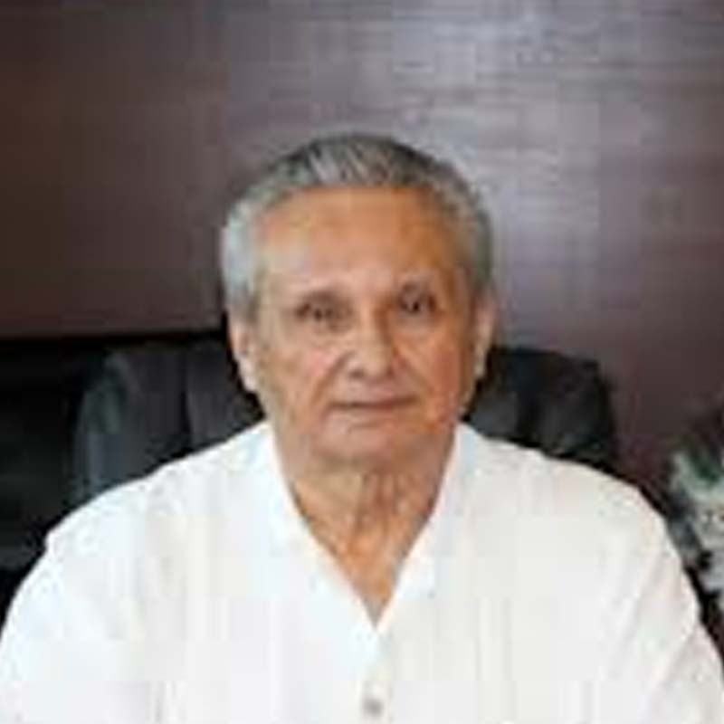 Victor Manuel Alcérreca Sánchez