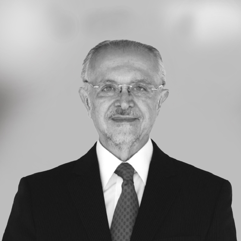 José Mario Molina Pasquel Y Henríquez