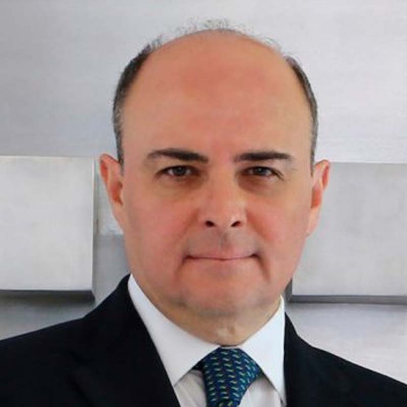 Sergio Manuel Alcocer Martinez de Castro