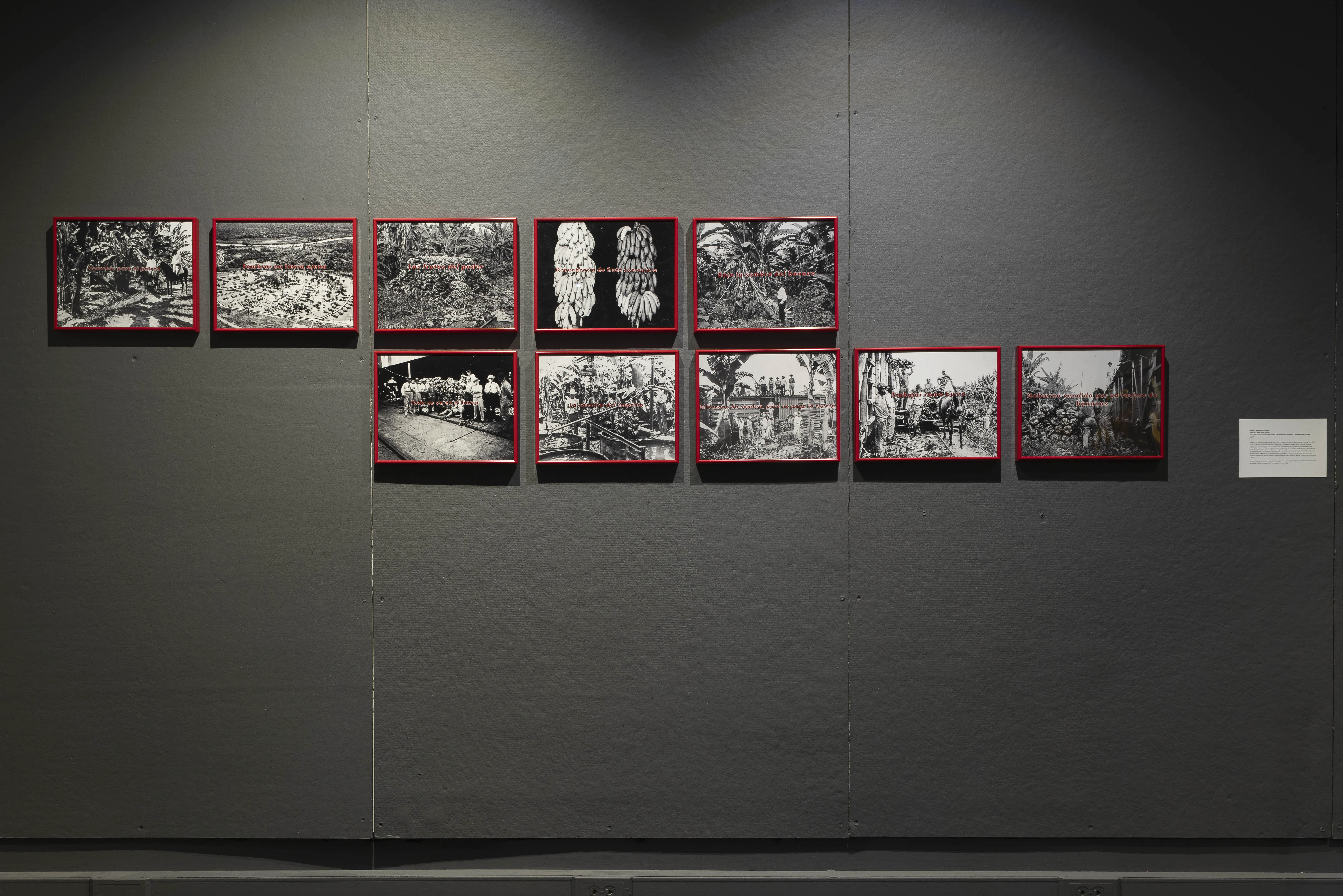 Installation view of Golden Cargo: Conquest of the Tropics. Courtesy of the artist.