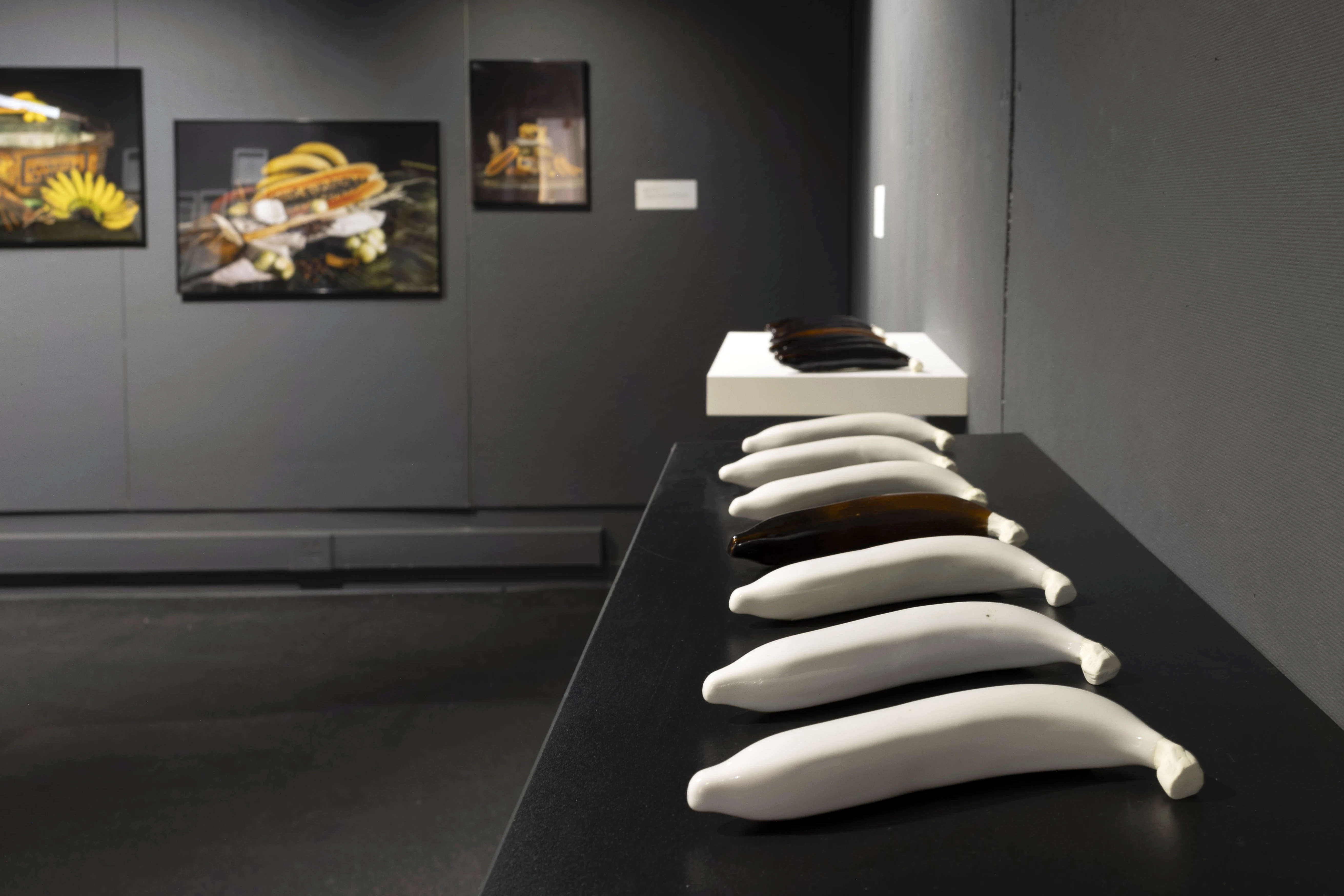 Installation view of Golden Cargo: Conquest of the Tropics. Courtesy of the artist.