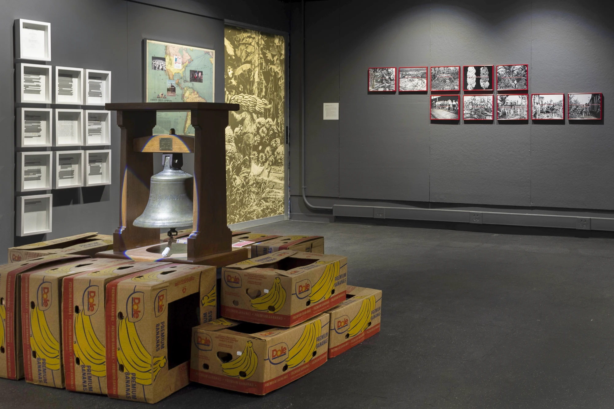 Installation view of Golden Cargo: Conquest of the Tropics. Courtesy of the artist.