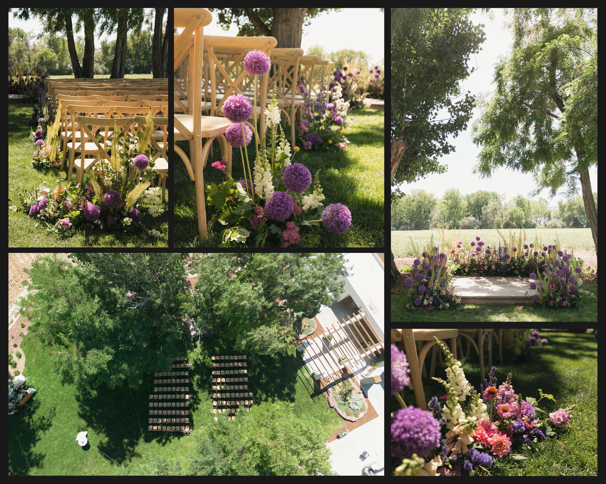 Allium and wild flower meadow ceremony images