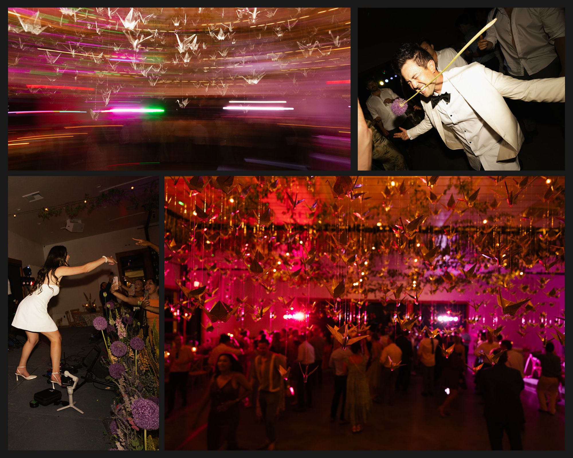 4 images of a wedding party with the bride and groom dancing and enjoying themselves. Images show the dj's colored lights and a hanging installation of paper cranes over the dance floor.