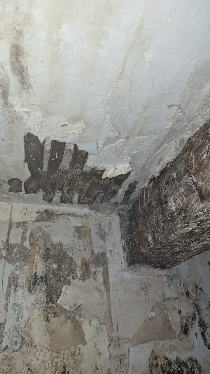 demolition plafond vaucluse