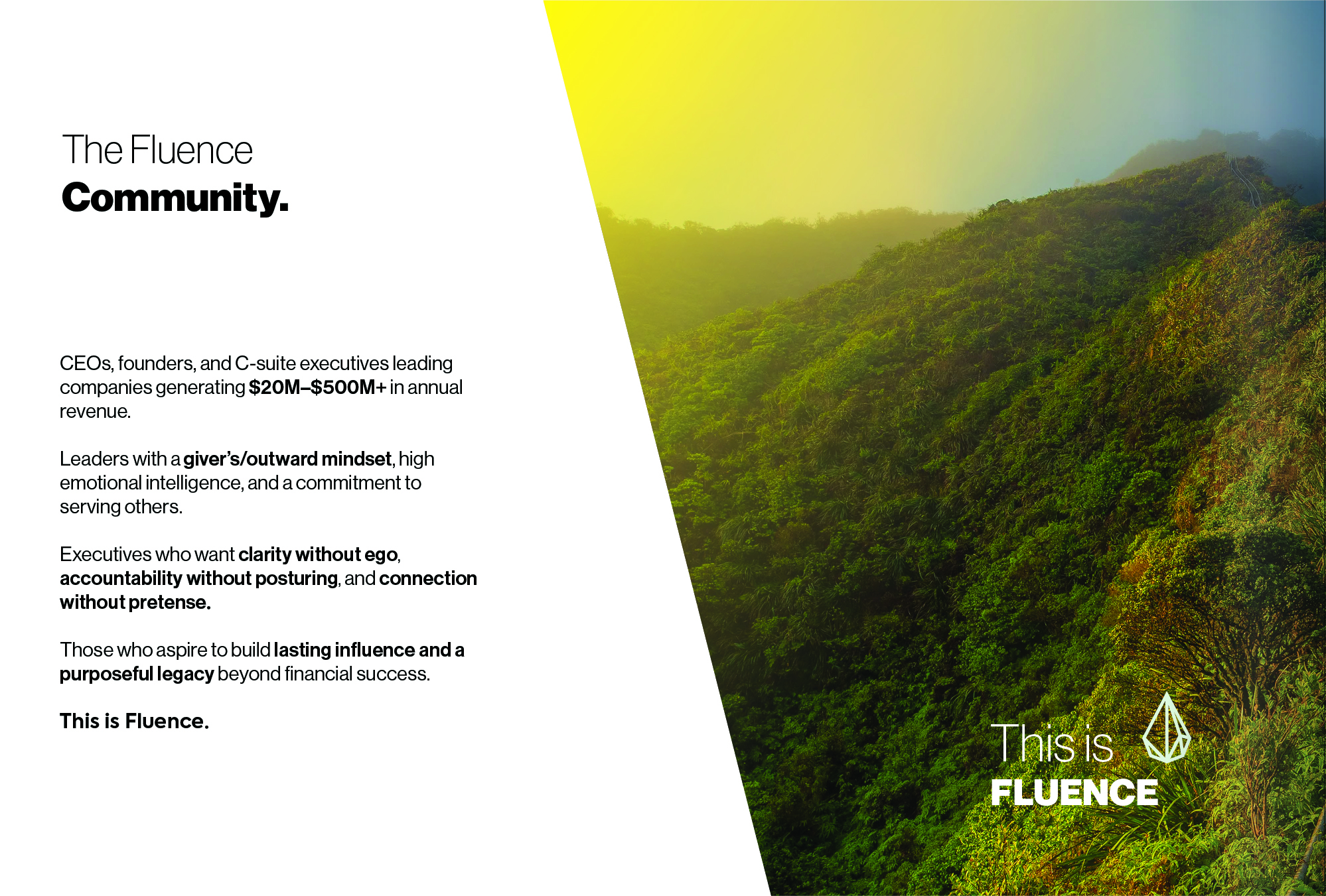 How to make a website: Page 06