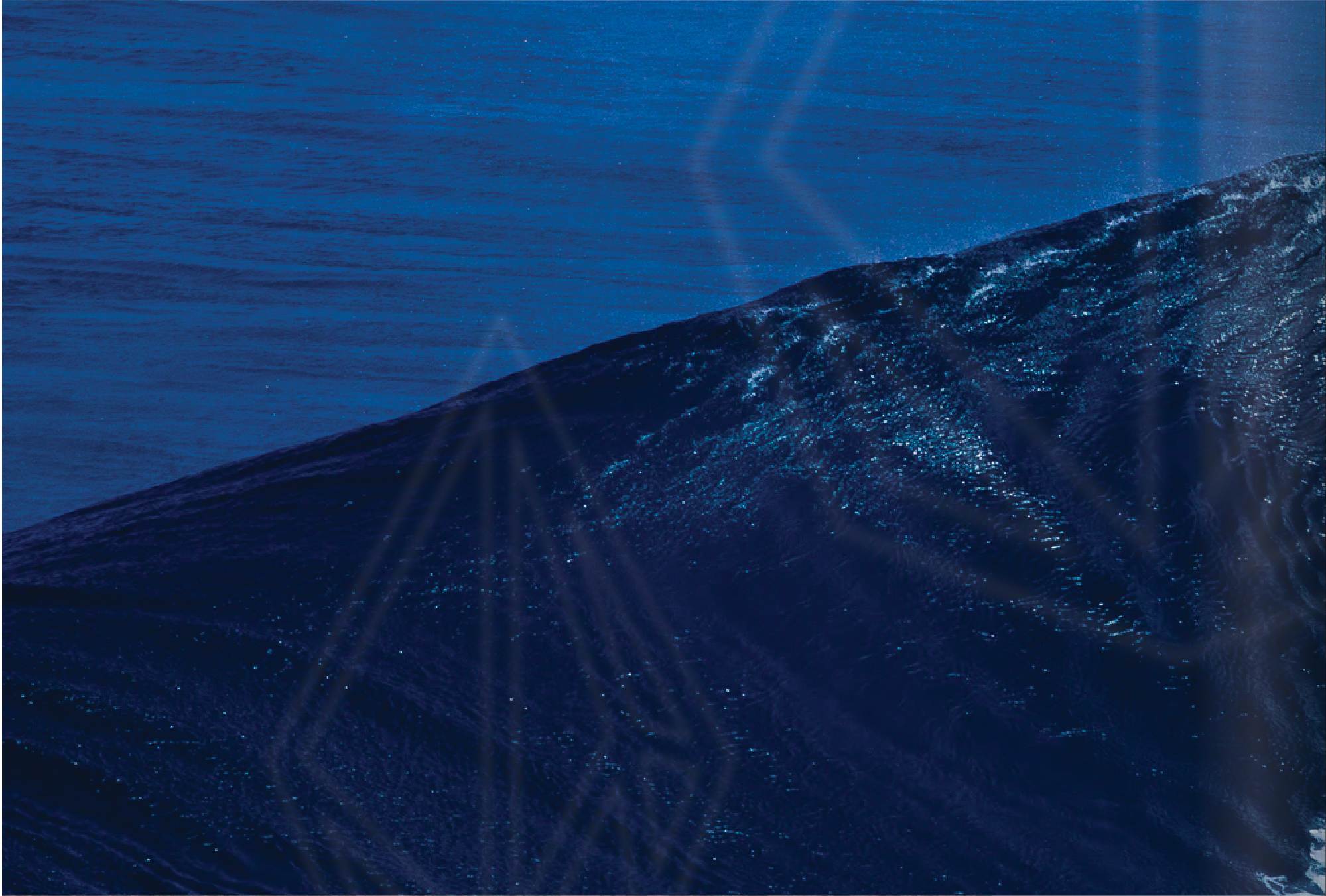 How to make a website: Page 18