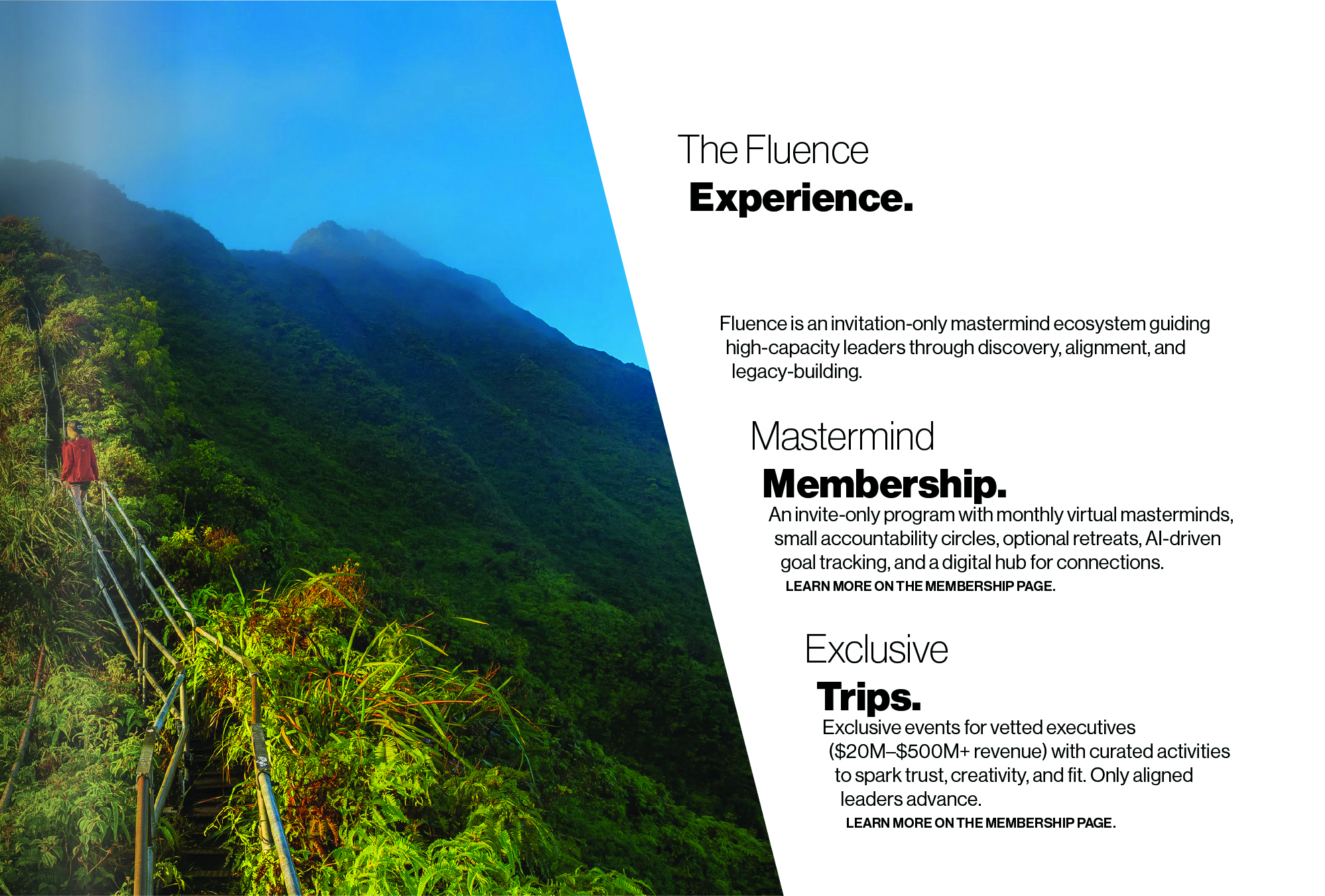 How to make a website: Page 07