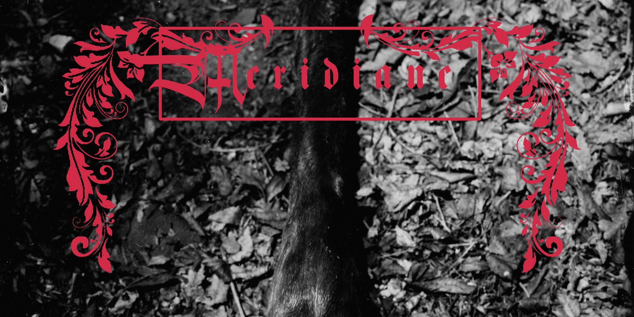 Meridiane, Timber Rattle, Spirit Trap