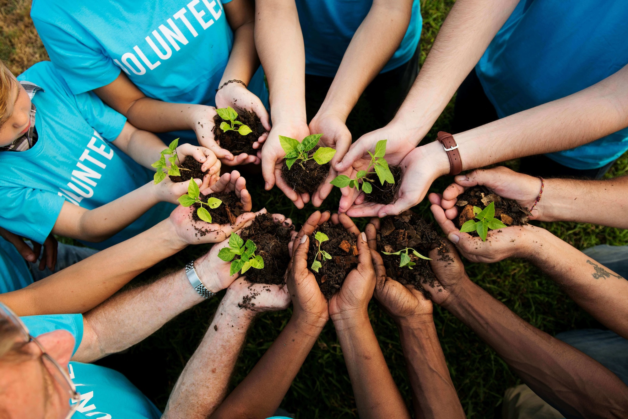an aerial view of 9 sets of hands holding plant seedlings