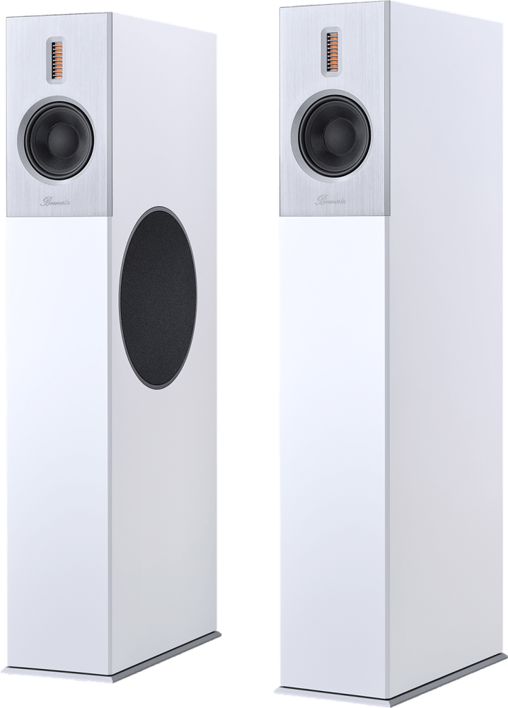 Burmester B38: Reviews, Competitors, Used Pricing