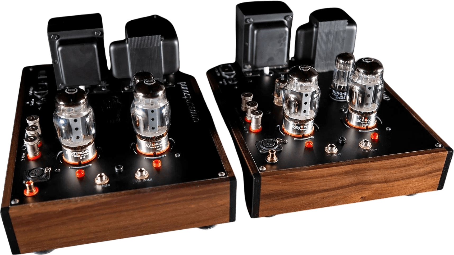 ampsandsound Casablanca - Thumbnail 3