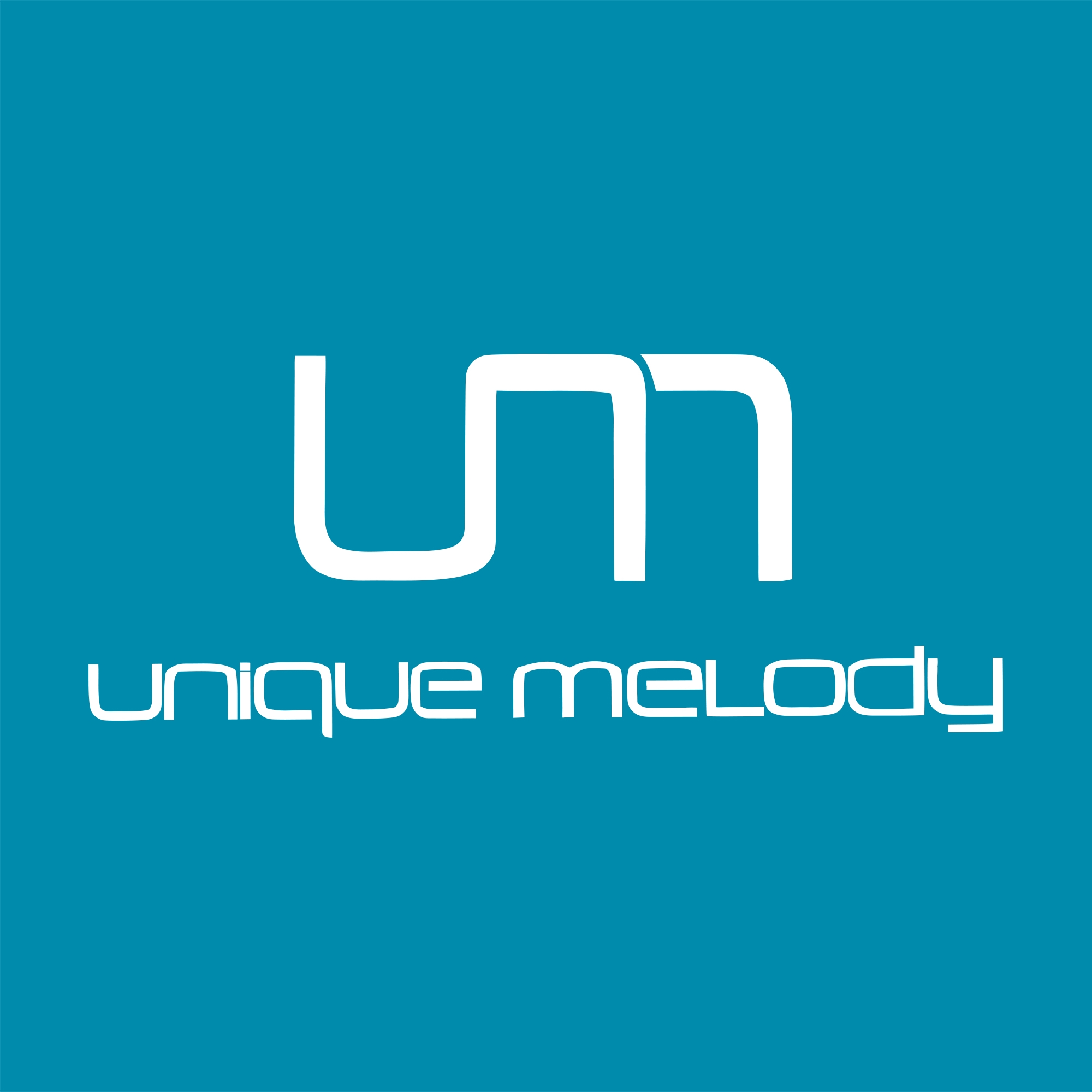 Unique Melody The Multiverse Mentor (IEM): Reviews, Competitors