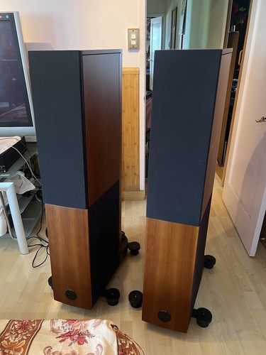 Audio Physic Spark: Reviews, Competitors, Used Pricing