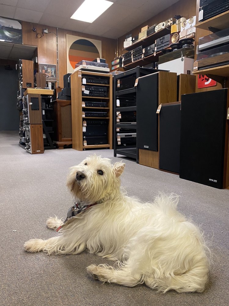 Dealer store image