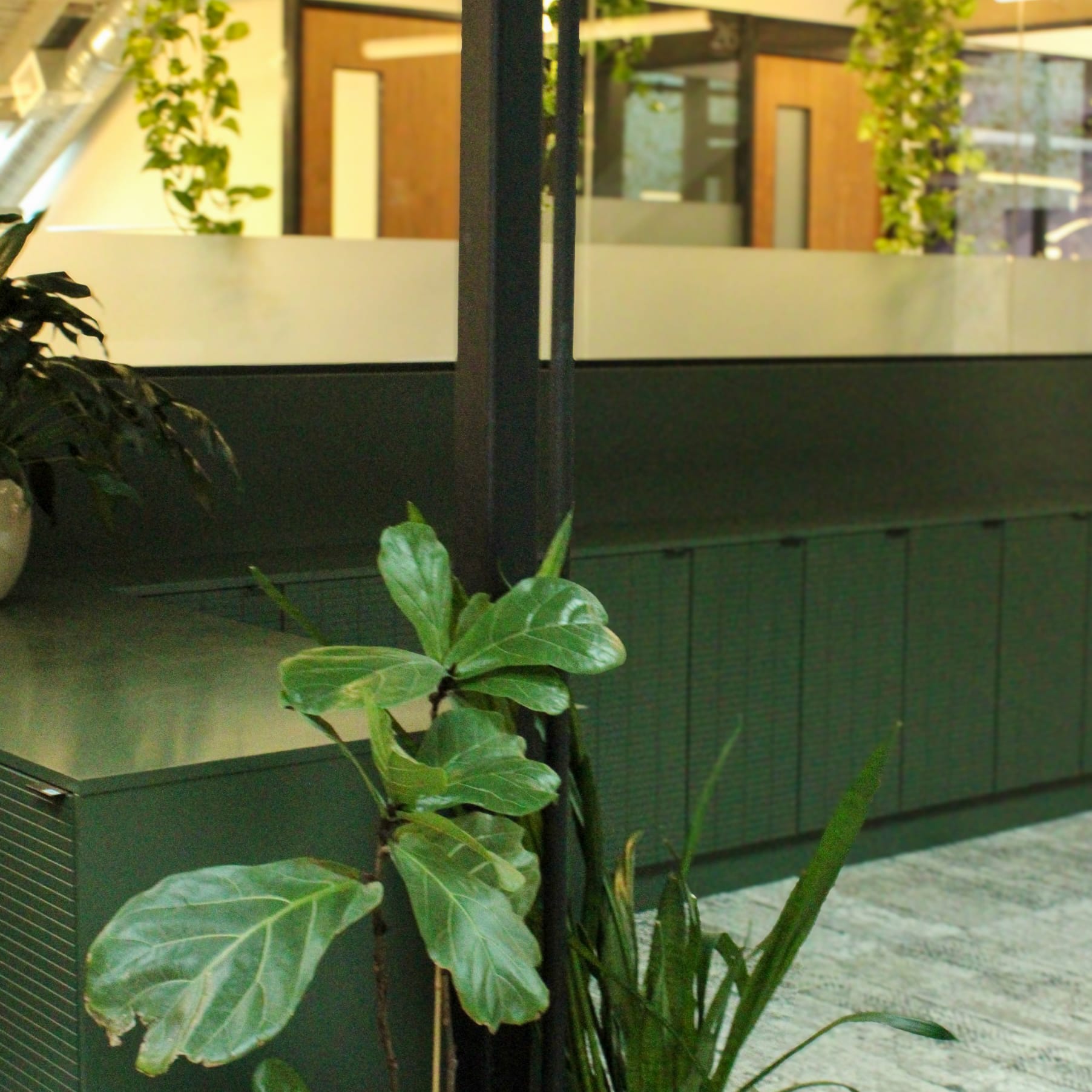 View of dedicated desk lockers with plants