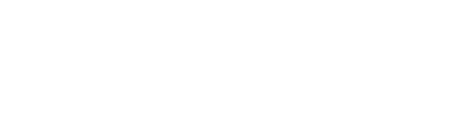 Ally