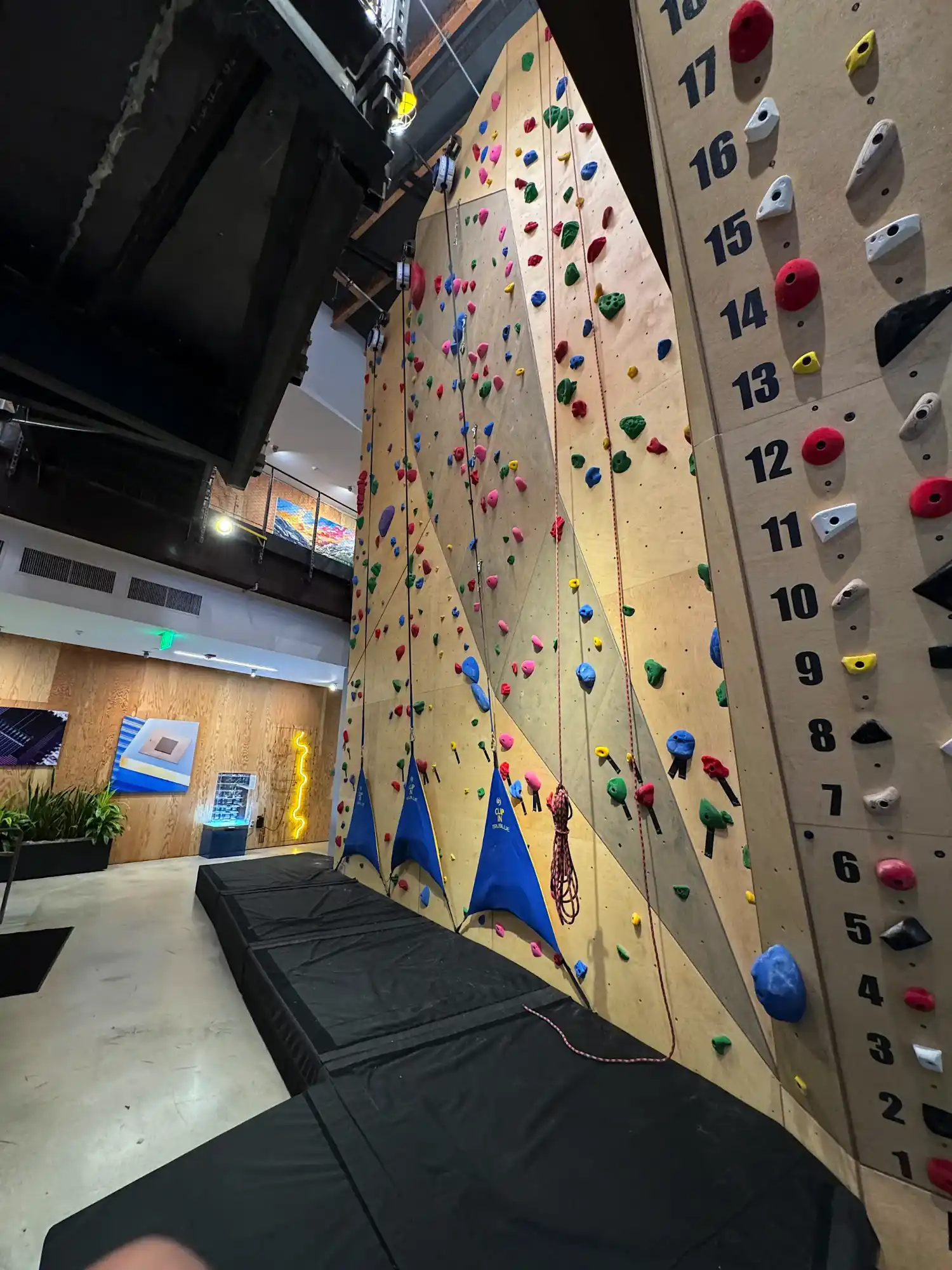 Indoor rock climbing wall with numbered holds, colorful climbing grips, safety ropes, and padded flooring.