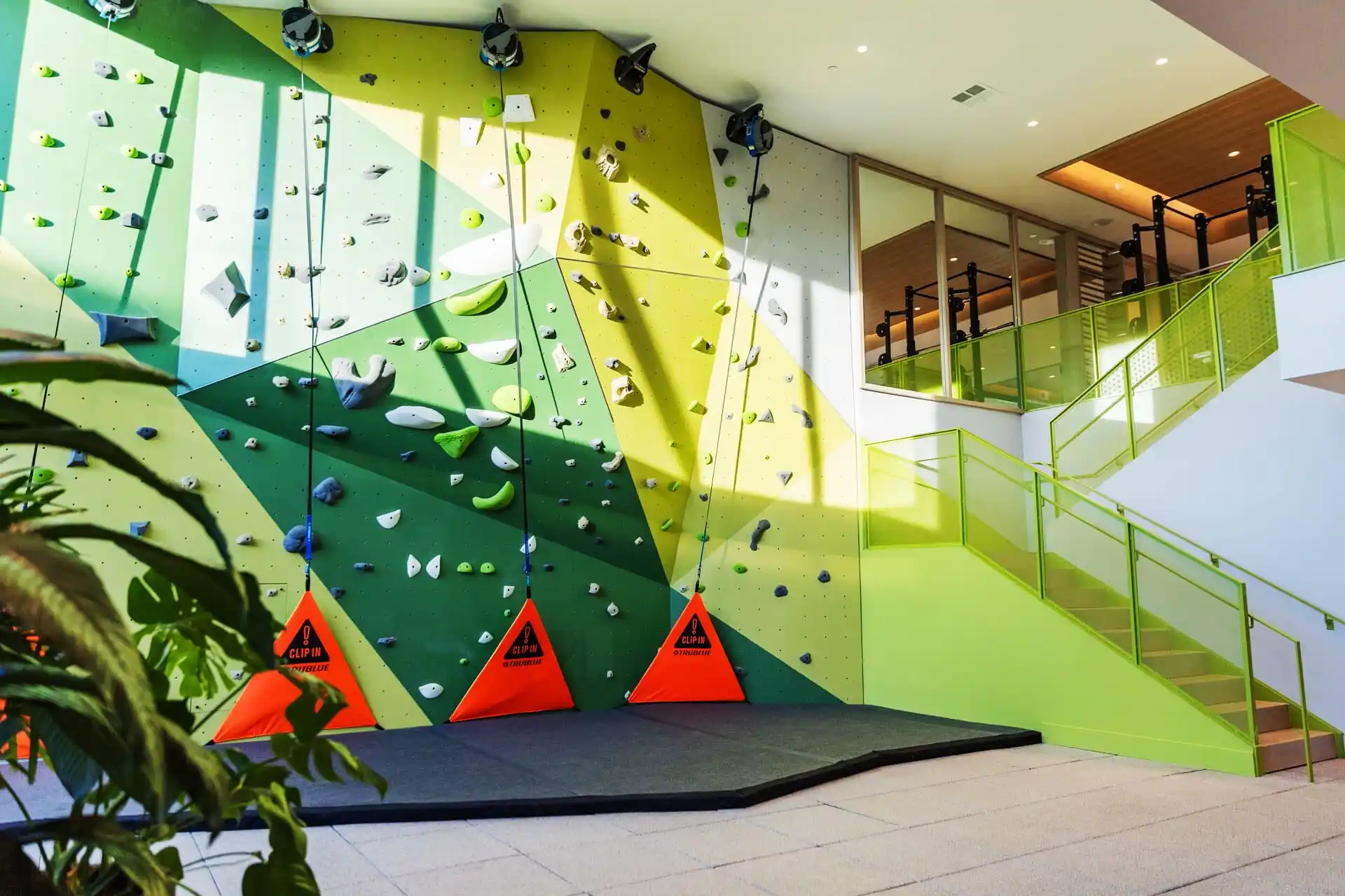 Young man focused climbing a purple indoor rock climbing wall.