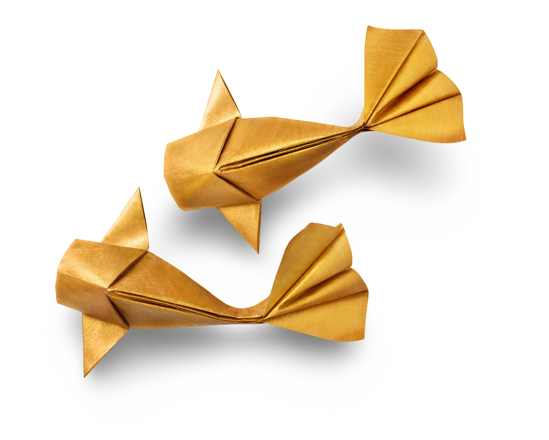 Trustworthy business paper fish