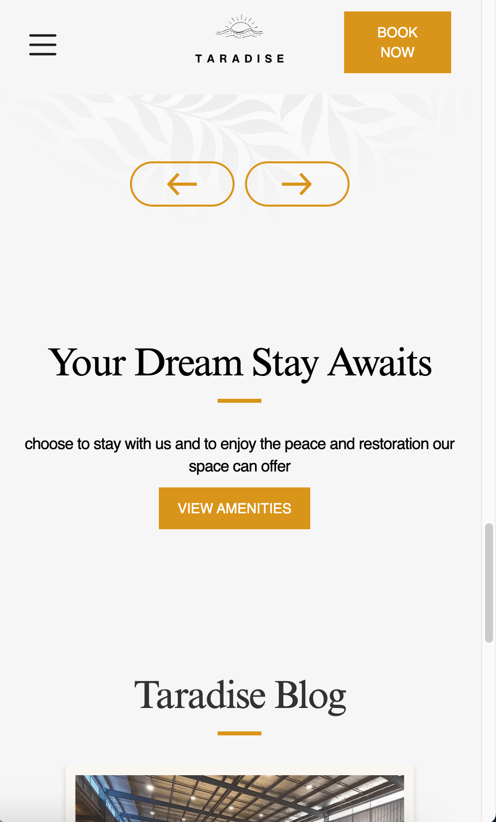 a website that a website designer has created 