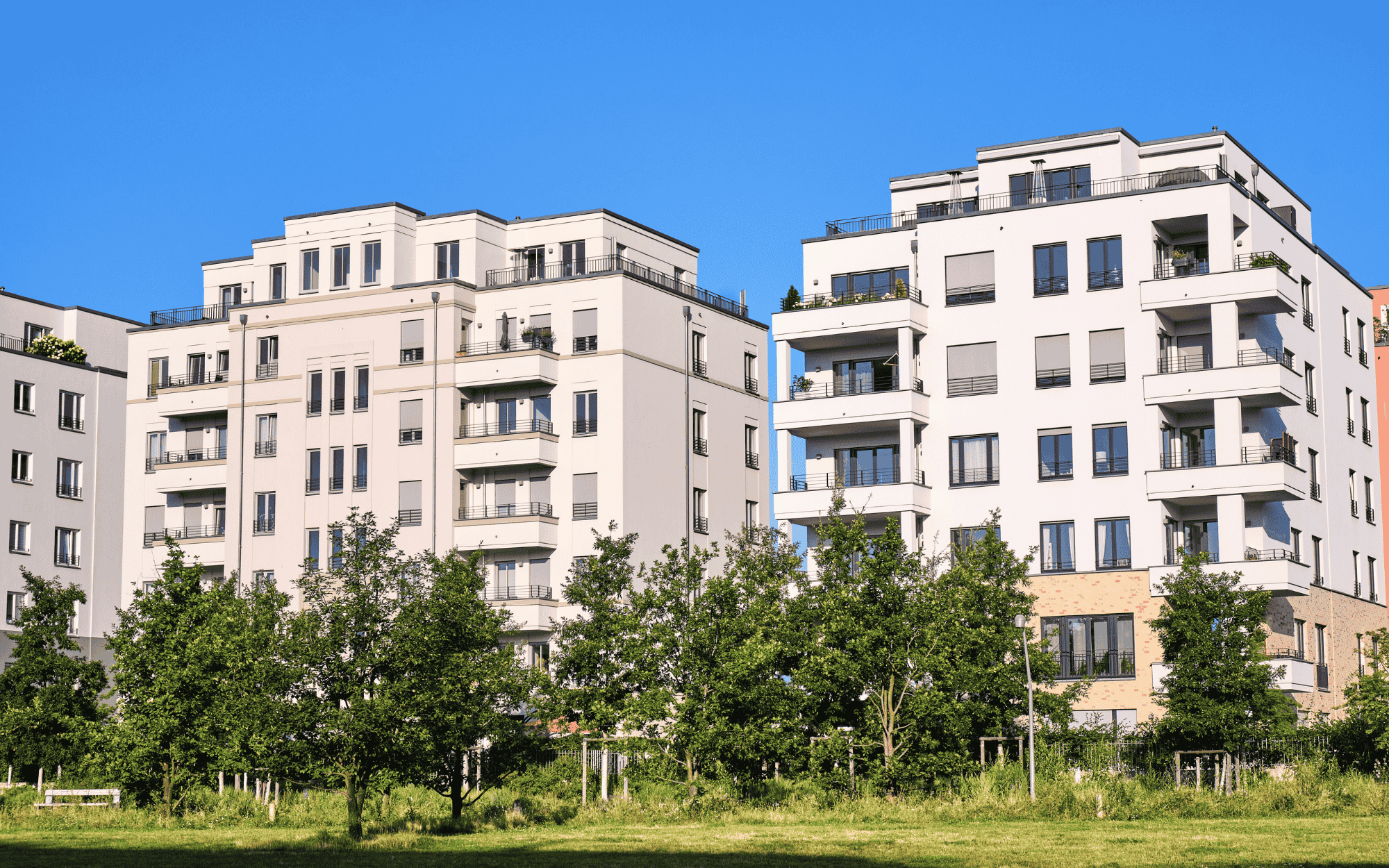 Modern white apartment buildings behind a row of green trees and grass under a clear blue sky.