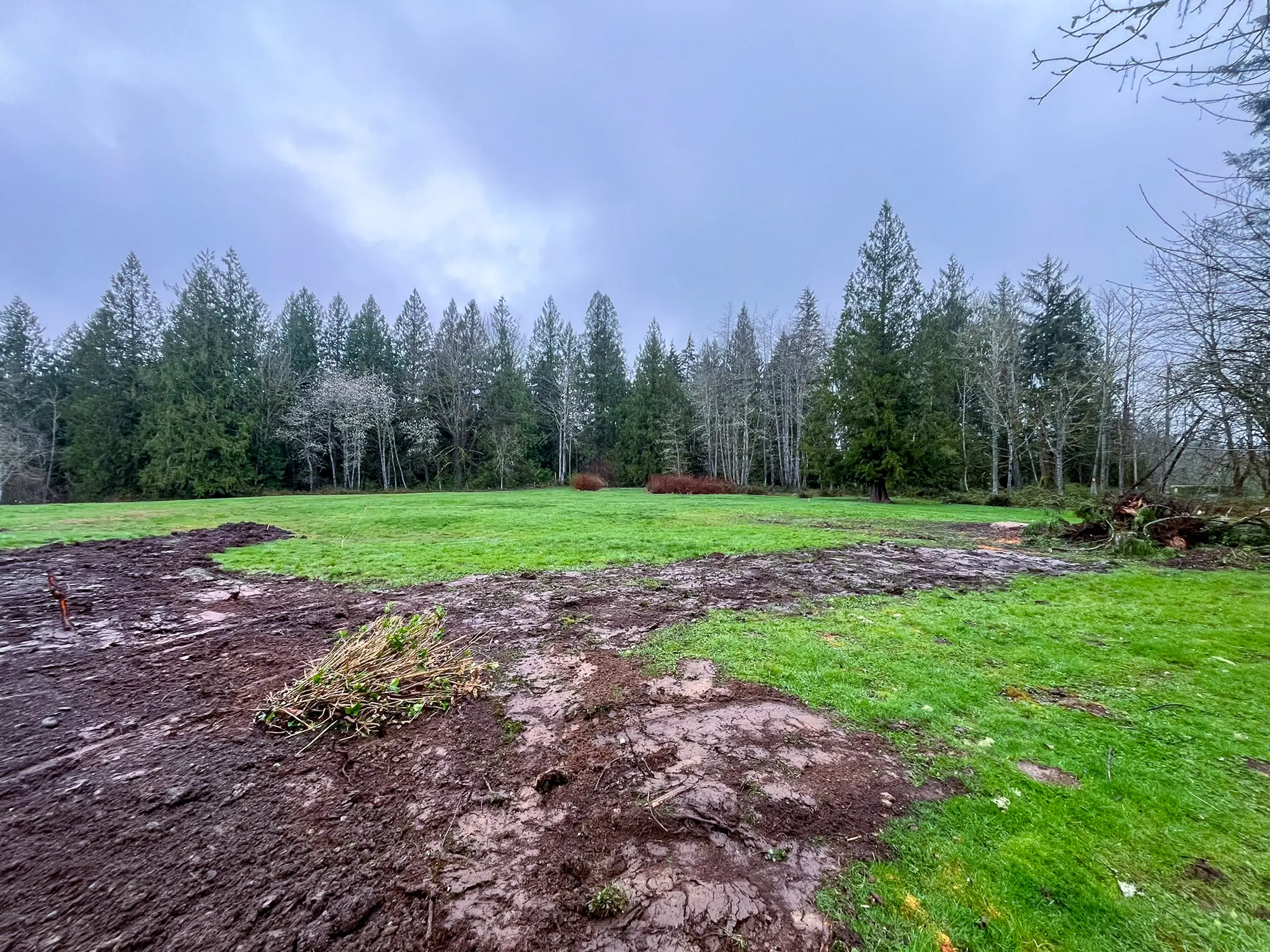 Cleared and graded yard with surrounding trees on a Fall City, WA property before a whole-home remodel and addition.