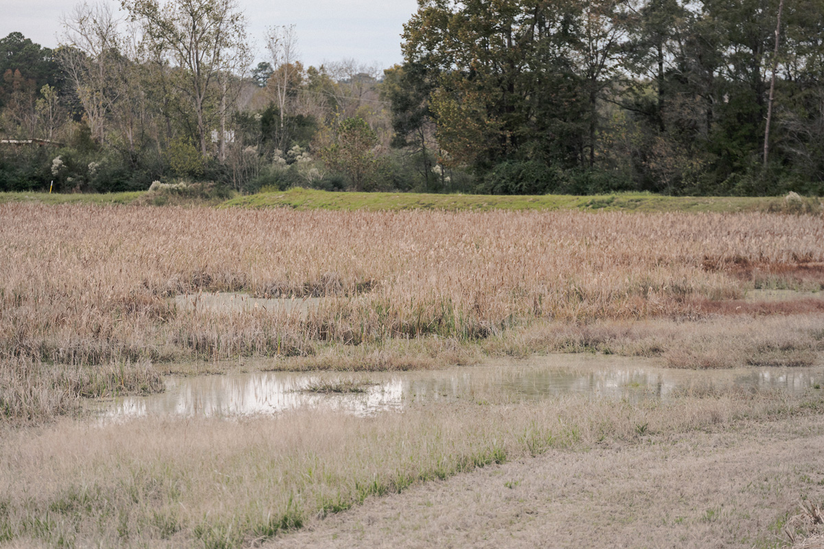 kaolin clay land reclamation and restoration