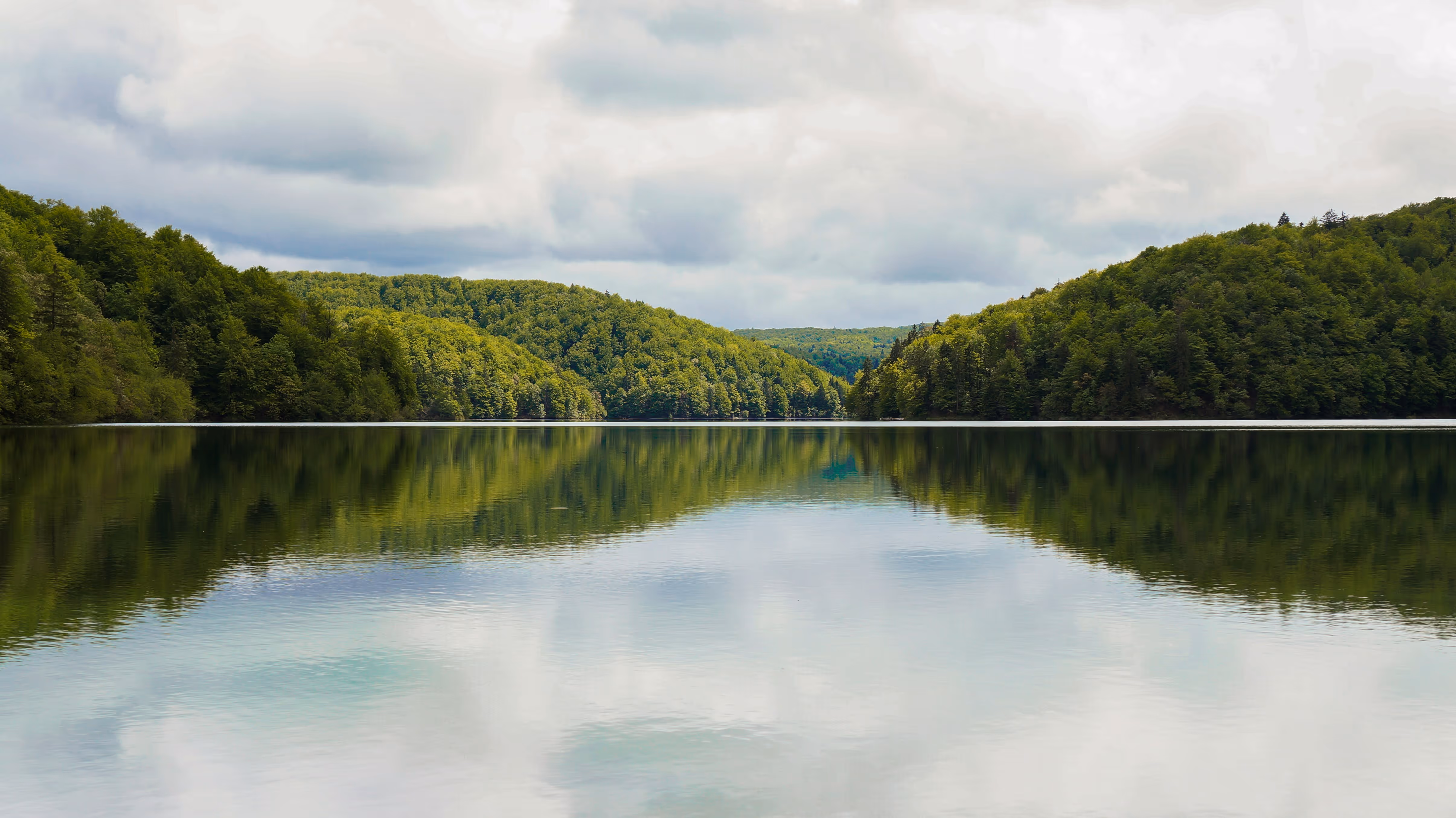 kaolin mining environmental restoration and land reclamation